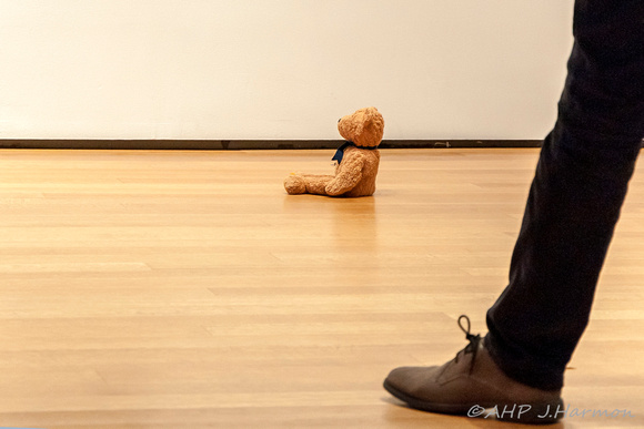 Artistic teddy bear at the MOMA