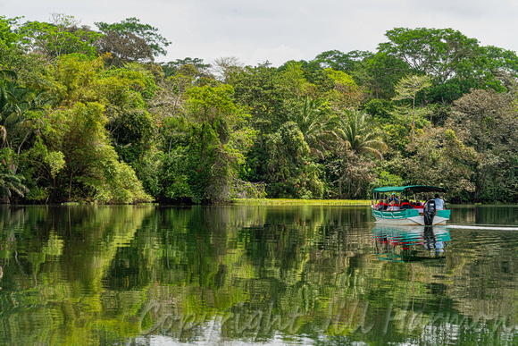 Jungle Boat Cruise-Panama